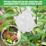 Fdit 10pcs Plant Root Growing Box, Reusable Grafting Tools for Plants view 4