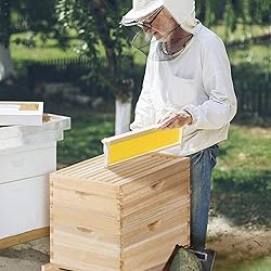 POLLIBEE 8 Frame Beehive kit, Complete Bee Hive for