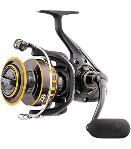 Daiwa Spinning Reel 16 BG 5000H (2016 Model) : Amazon.ca
