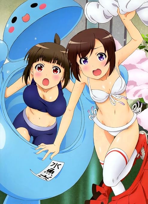 Futsuu No Joshikousei Ga Locodol Yattemita 24x33 Inch 60x82 Cm