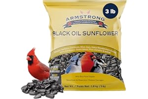 Armstrong Black Oil Sunflower Seeds, Wild Bird Food, 1.36KG (3LB) Bag