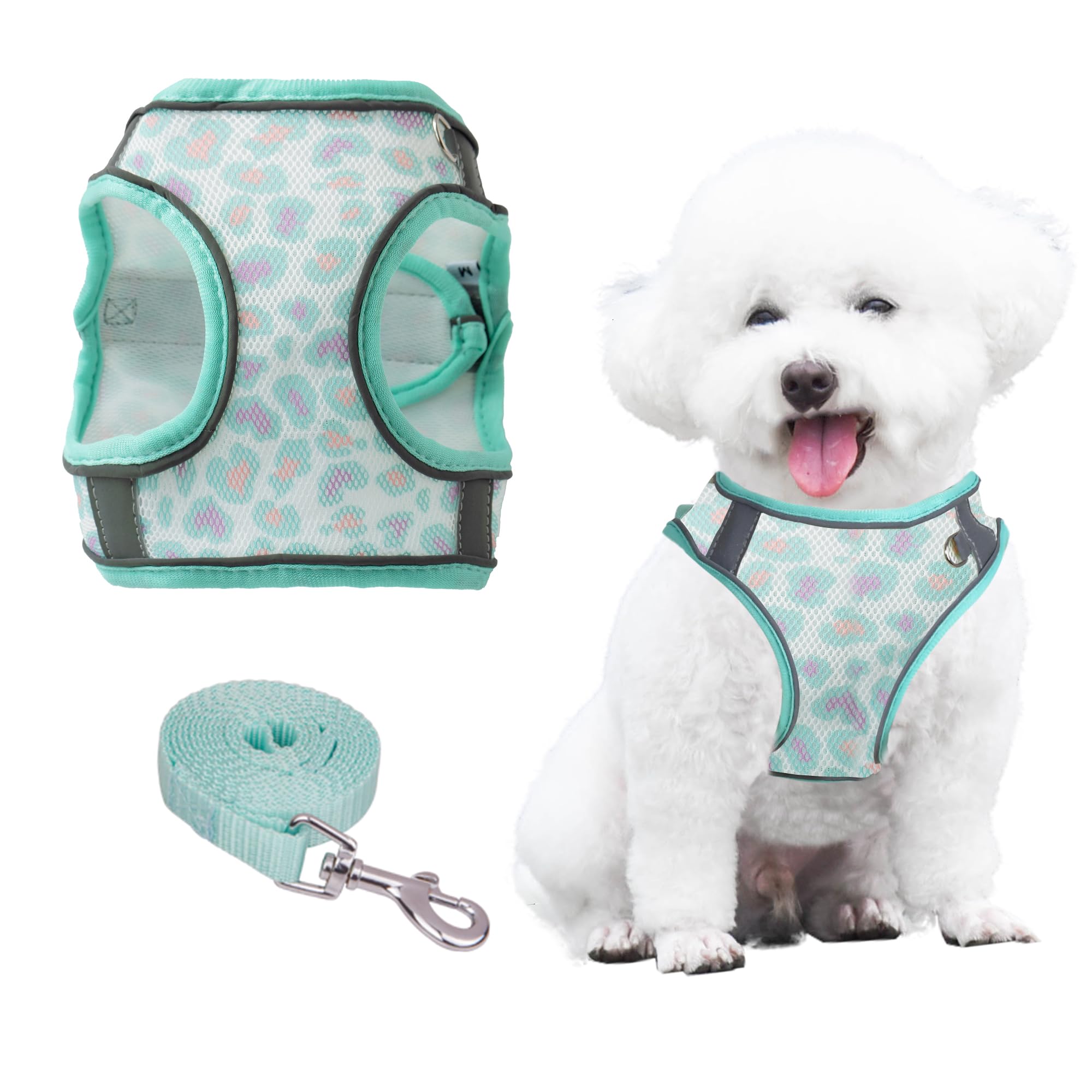 PawSailor No Pull Dog Harness and Leash Set, Step-in Floral Print Adjustable Breathable Mesh Pet Harness, Reflective Soft Padded Dog Vest for Small Dogs Green XXS