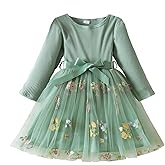 NNJXD Baby Girl Flower Embroidery Tulle Long Sleeve Dress Elegant Toddler Birthday Party Dresses