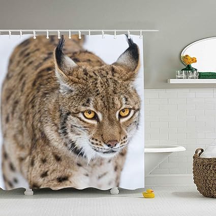 Amazon Com Una Stowe Animal Lynx Cats Print Bath Shower Curtain