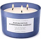Eucalyptus Evergreen Forest 3-Wick Soy Candle, 15.8 oz | Winter Pine, Balsam Fir & Evergreen Scented Candle | Woodsy Aromatherapy Candle for Home | Clean Burn, Long-Lasting