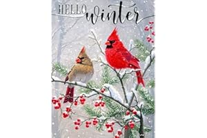 FUINKQE Christmas Diamond Painting Kits for Adults,Christmas Cardinal Diamond Art for Adults Beginners,Christmas Bird Diamond Art Kits for Adults, Full Drill Diamond Dotz Gem Art for Home Wall Decor