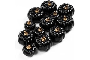 Ywlake 12 Pcs Artificial Pumpkins Fall Decorations, Mini Small Fake Pumpkin for Autumn Harvest Halloween Thanksgiving Faux Pumpkins Home Table Decor (Black)