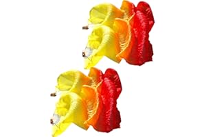 FHAUOPSA Belly Dance Faux Silk Veil Fans, 2 Pair Handmade Long Faux Silk Fans for Dancing, Abanicos de Danza for Line Dancing