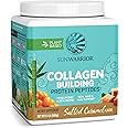 Vegan Collagen Protein Powder for Women | Plant Based Collagen Powder with Vegan Hair Skin and Nails Vitamins | Non-GMO No Added Sugar Soy Dairy & Gluten Free (Salted Caramel, 20 Servings)