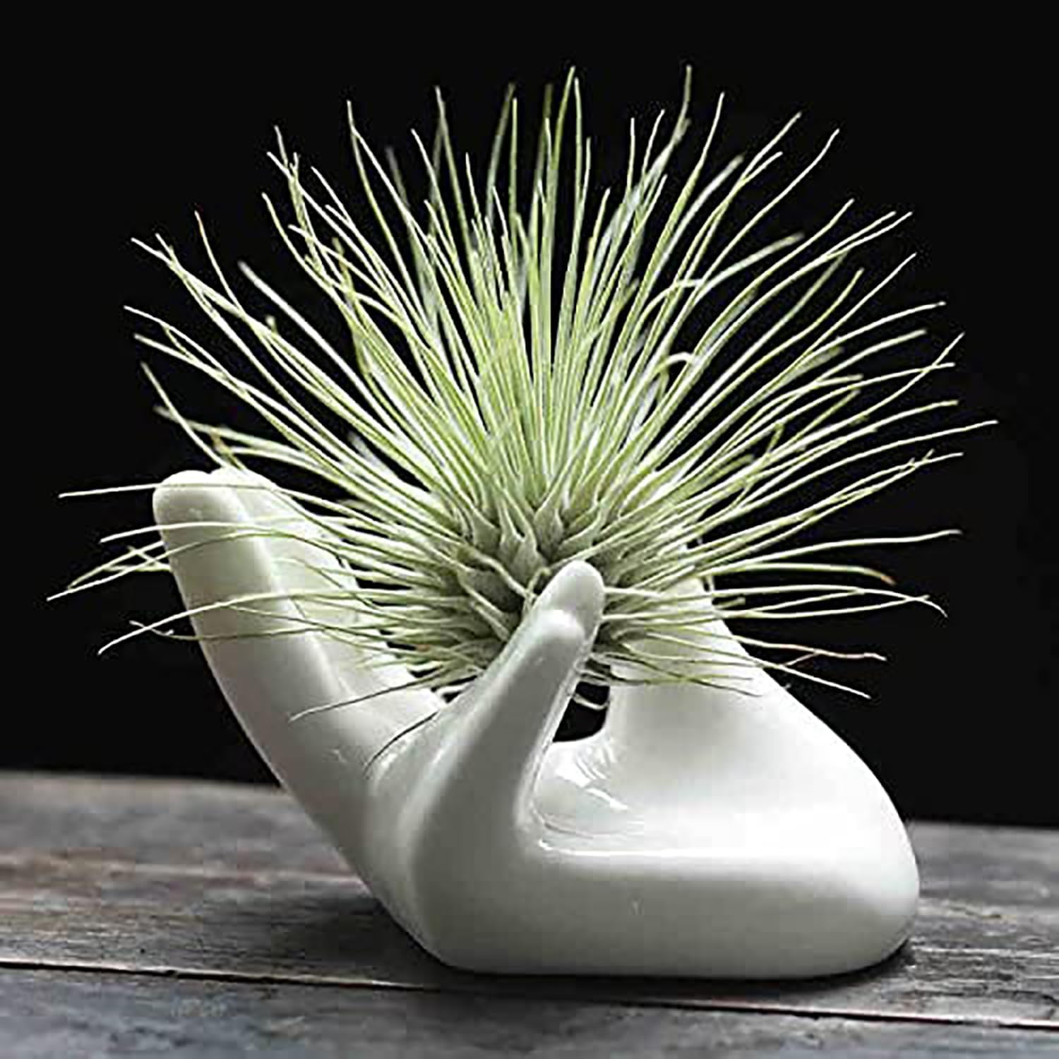 jute plant hanger Plant Hanger - Fiora main image 0