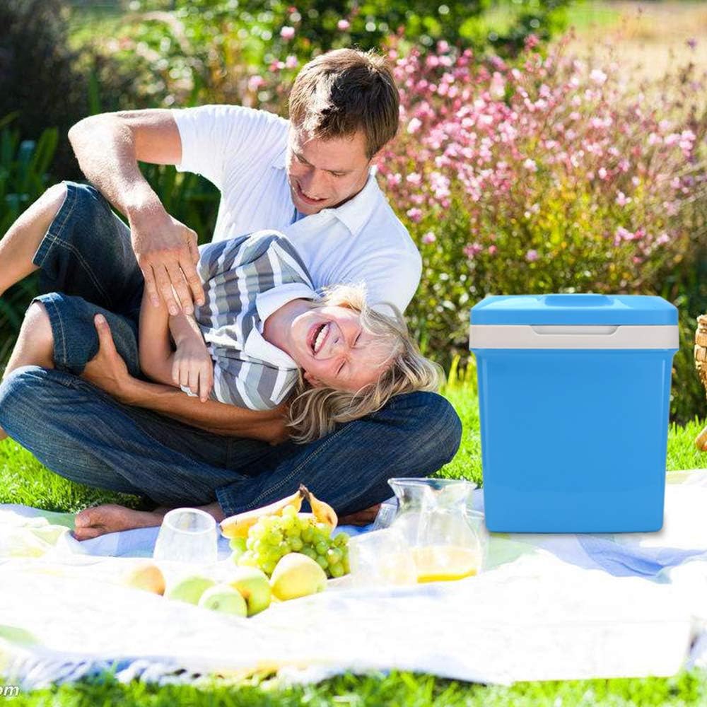 Mini Fridge,Electric Cooler Dual Freezer And Warmer Portable Beverage Fridge Organizer For Car Home Office Dorm Travel Beach Camping Picnic Outdoor Party Ac/Dc Portable Thermoelectric System(26L/0.92)