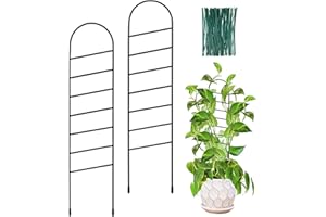 OYOEETD 18 Inch Small Metal Trellis,Indoor Plant Trellis for Climbing Plants, Garden Trellis for Potted Plants,Plant Stakes for Indoor Plants Accessories Hoya,Flower, Inclined Ladder 2 Packs