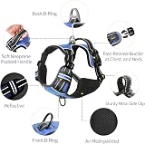 HEELE Dog Harness Reflective Padded Handle 2 Rings Size L Blue view 2