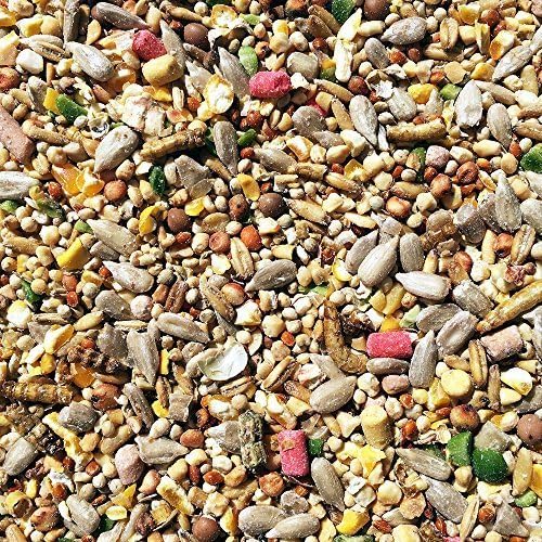 20kg Robin and Wild Bird Food Mix with Sunflower Hearts Suet Pellets & Mealworms