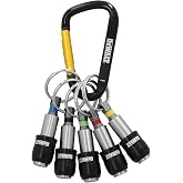 DEWALT Keyring Bit Holder Set 1/4 Inch Hex Bits, Durable Metal Bit Holder Key Chain (DWAFHLDKC5)