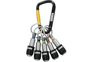 DEWALT Keyring Bit Holder Set 1/4 Inch Hex Bits, Durable Metal Bit Holder Key Chain (DWAFHLDKC5)