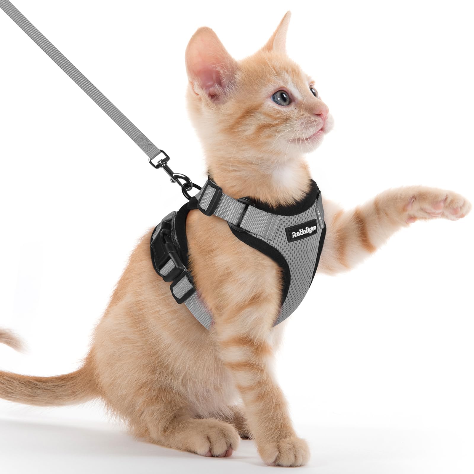 rabbitgoo Cat Harness and Lead Set, Adjustable Escape Proof Cat Lead for Walking, Reflective Kitten Harness Set, Soft and Comfortable for Kittens and Small Cats, Grey, XXS — image 1
