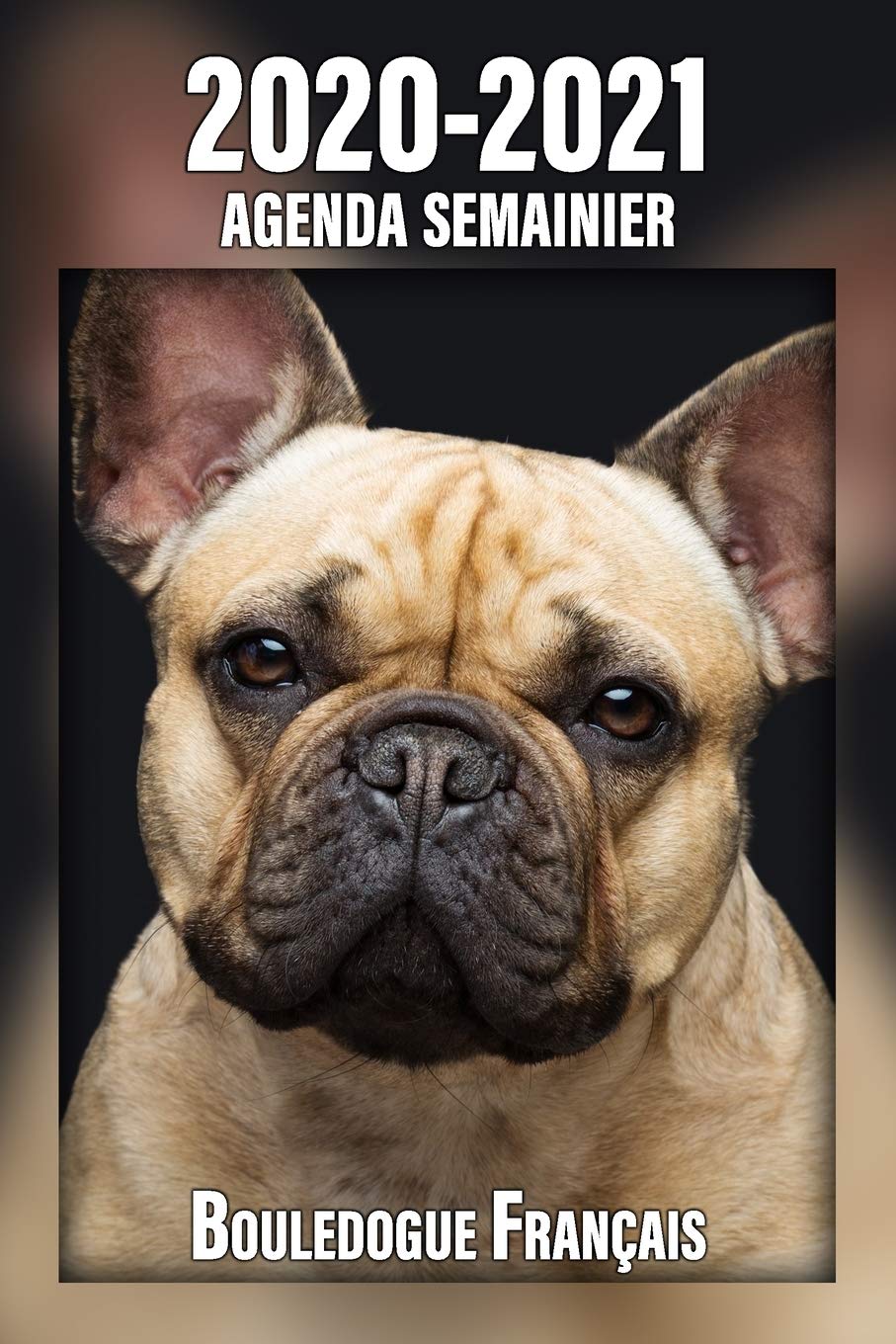 Amazon Fr 2020 2021 Agenda Semainier Bouledogue Francais A5 221 Pages 24 Mois Planificateur Organiseur Calendrier Une Double Page Par Semaine Journal Agenda En Francais Xlpress Cahiers Carnets Livres