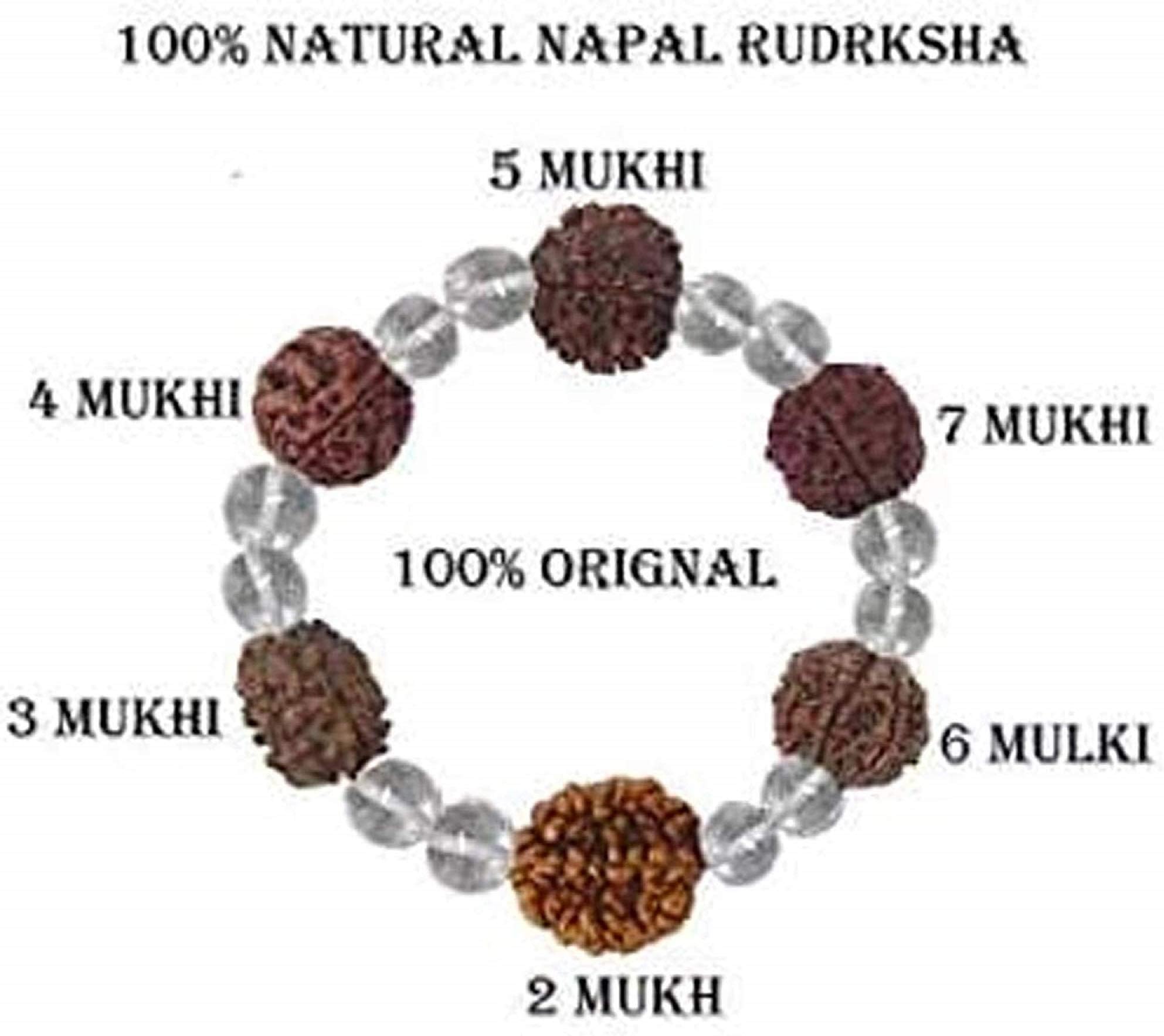 Mautik Sadiwala Sphatik 2 3 4 5 6 7 Mukhi/Face Rudraksh Beads Wrist Band Bracelet for Men and Women (Brown)