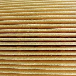 100001611 Air Filter Compatible and Applicable