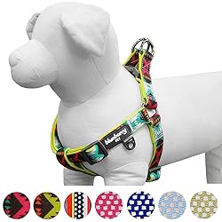 Blueberry Pet 2 Colors Soft & Comfy Step-in