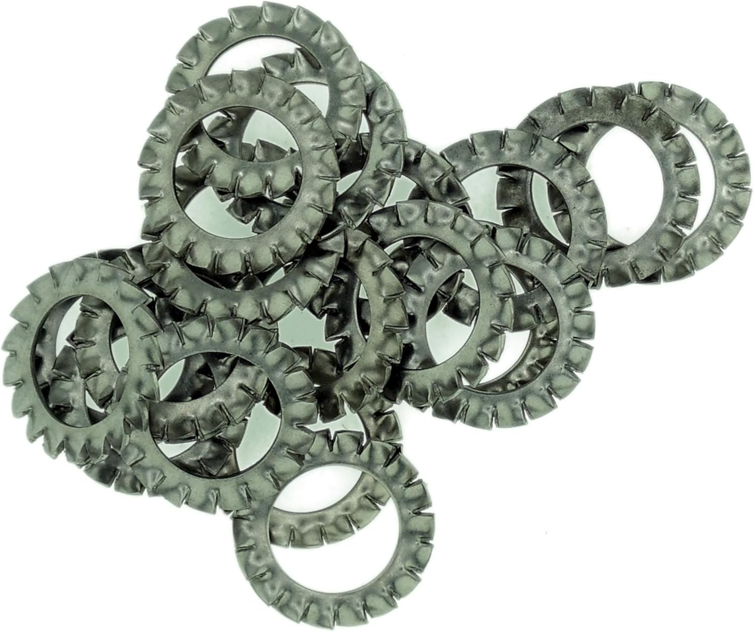 M16 (16mm) Shakeproof Washer (External Serrated) - Stainless Steel (A2) (Pack of 20), M16 - ExternalSerrated - A2 (20) - Image 4