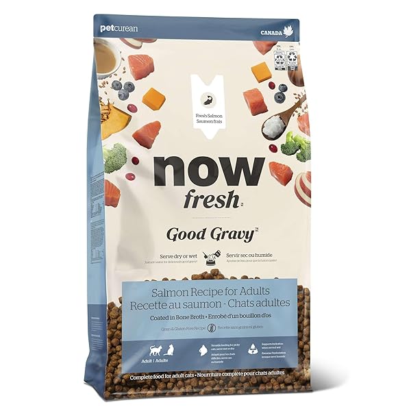 NOW FRESH GOOD GRAVY GRAIN-FREE DRY CAT FOOD WITH SALMON, HEALTHY KIBBLE FOR ADULTS & SENIORS COATED IN BONE BROTH – JUST ADD WATER TO MOISTEN, CHICKEN-FREE RECIPE FOR SENSITIVE STOMACHS, 8 LB BAG