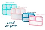 PlusPoint 4 Bento Boxes Set - Perfect Lunch Box For