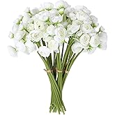 Yuxung 36 Pcs Ranunculus Artificial Flower Silk White Flower Realistic Faux Rose with Long Stems Fake Ranunculus Bouquet Wedding Flowers Bulk for DIY Bride Centerpiece Decoration(Ivory White)