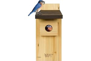 Nature’s Way Cedar Bluebird & Cavity Nesting House, Predator Guard, Ventilated Design & Easy Access Clean-Out Panel, Natural 