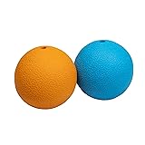 Amazon Basics Squeaker Toy Dog
