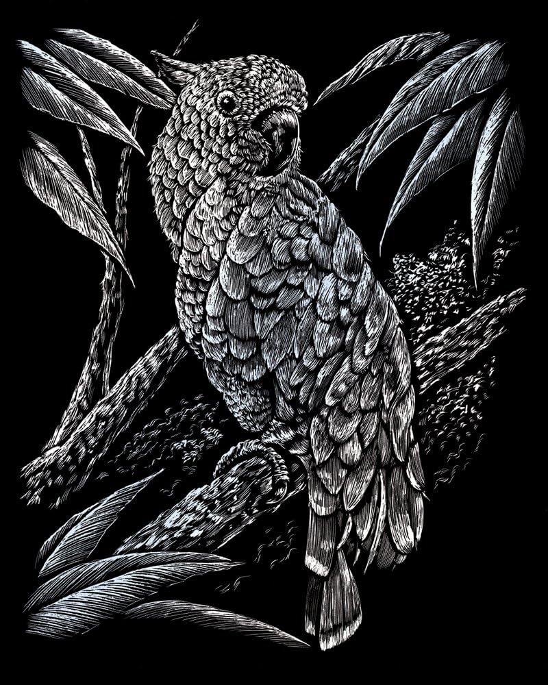 Royal & Langnickel Silver Engraving Art A4 Size Cockatoo Designed Painting Set, standart - Image 3