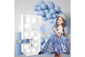 FAYLISVOW 2.4FT/28.74in Marquee Light up Numbers Marquee Number 5 with White Lights for Birthday Party Large Mosaic Frame Letter Cardboard Pre-Cut Giant Cut-Out Thick Foam Board Sign DIY Decorations