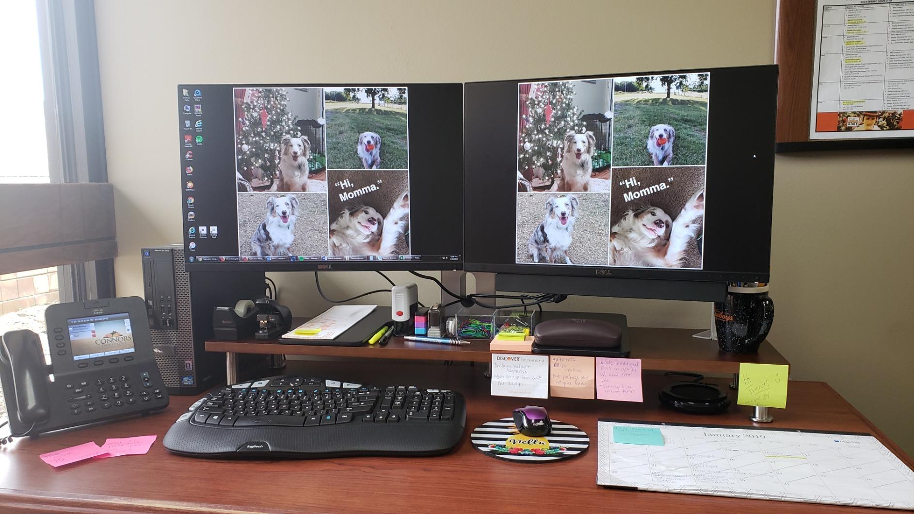 15/mo Finance The Office Oasis Dual Computer Monitor Stand, Solid