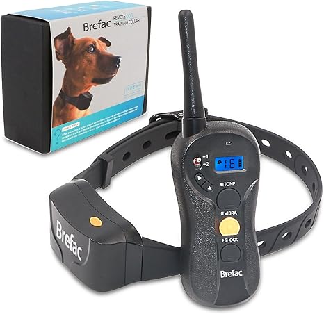 Shock collar training Outlet