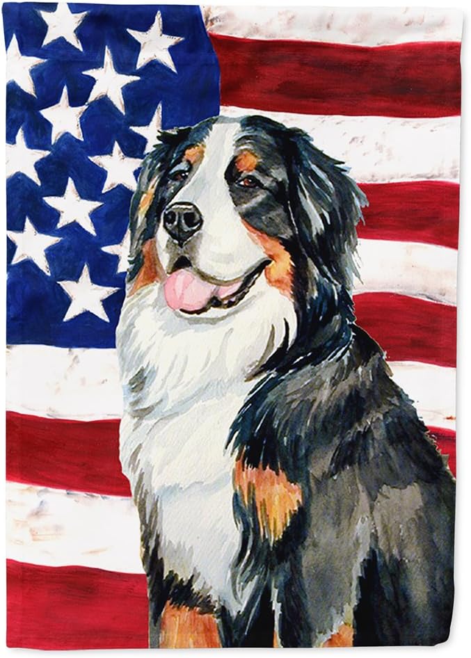 american mountain dog