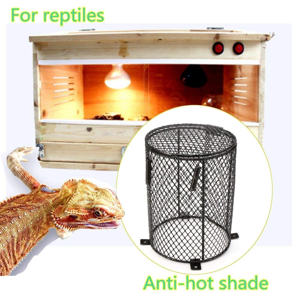 heat lamp cage