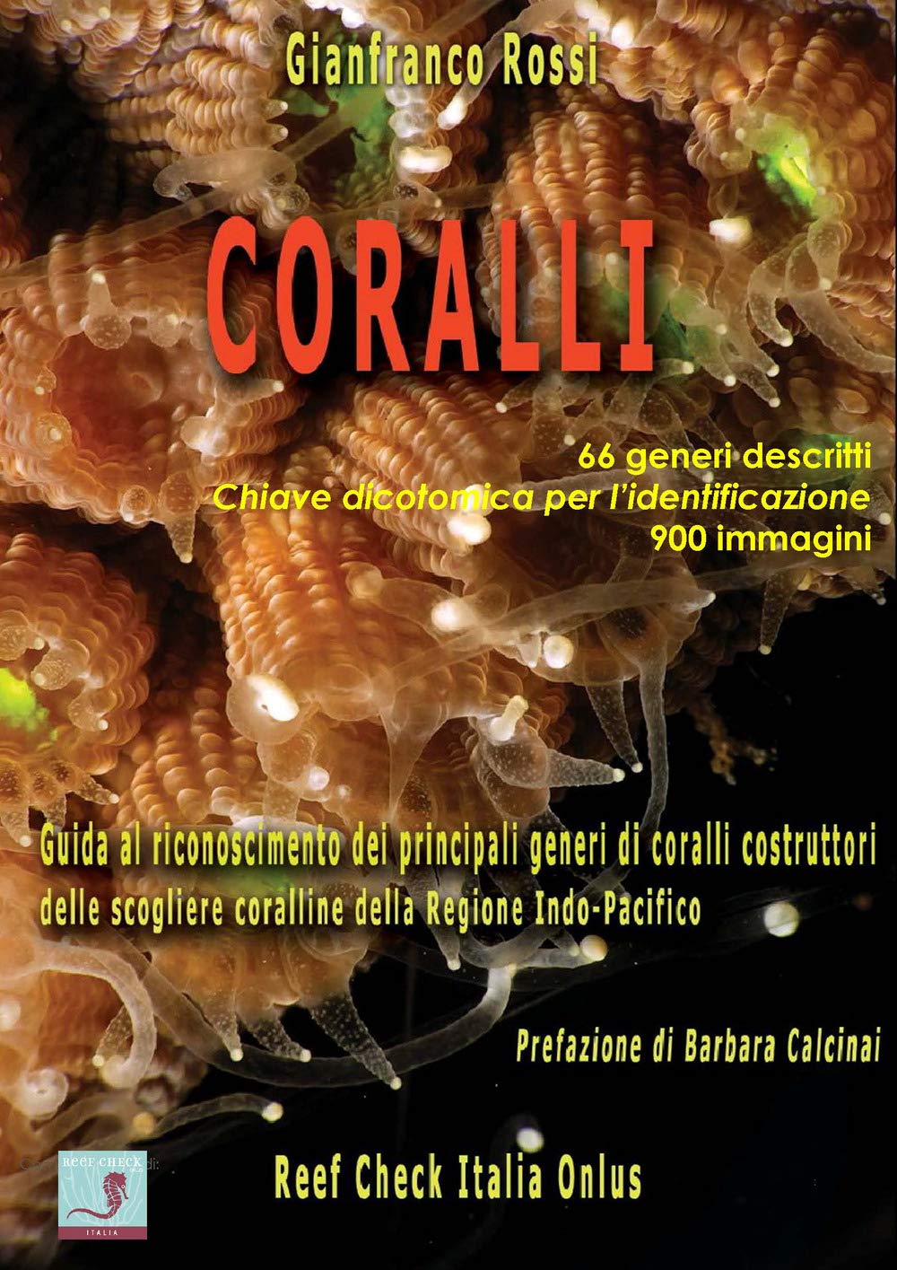 Coralli Scoperto Un Tesoro Al Largo Della Liguria Ecoseven