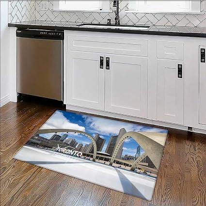 Amazon Com Rug Easy To Clean Durable Toronto City Hand Nathan