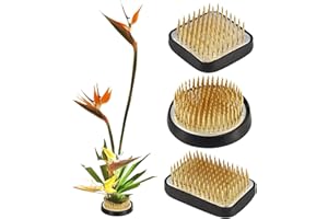 EGGONE 3/Set Flower Frog Japanese Ikebana Flower Arrangement Kenzan Kit, 2.4”Round Floral Frog Moribana+1.6”Square Ikebana Kenzan+2.1”x1.4”Rectangle Pin Frog
