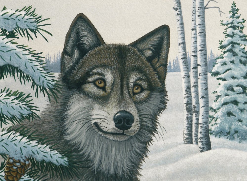 Royal & Langnickel 11 x 15 inch Snow Wolf Pre-Printed Paint by Number Painting Set