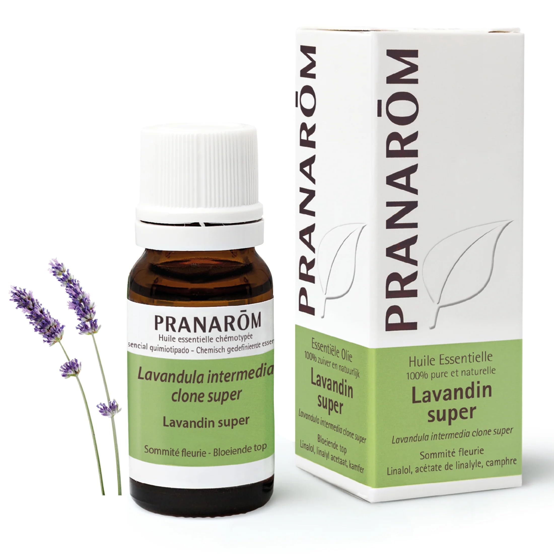 Pranarôm Essential Oil Lavandin Super (Lavandula Intermedia Clone Super) 10 ml