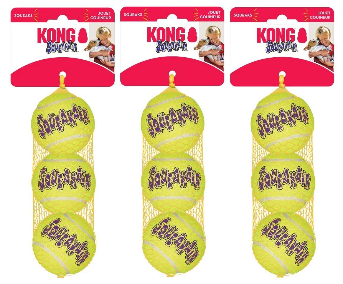kong medium squeaker ball