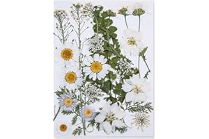 MUCBAFLY Dried Pressed Flowers for Resin, Real Pressed Flowers Dry Leaves Bulk Natural Herbs Kit for Scrapbooking DIY Art Crafts, Nails Décor, Epoxy Resin Jewelry, Candle, Soap Making (White)