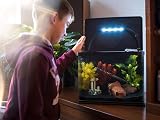 Interpet Deltatherm 300W Aquarium Heater for Tropical and Marine Tanks view 7