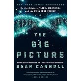 The Big Picture: On the Origins of Life, Meaning, and the Universe Itself