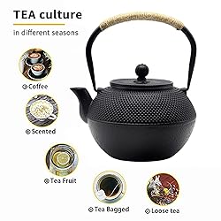 Cast Iron Tea Pot Set, Japanese Tetsubin Tea Kettle
