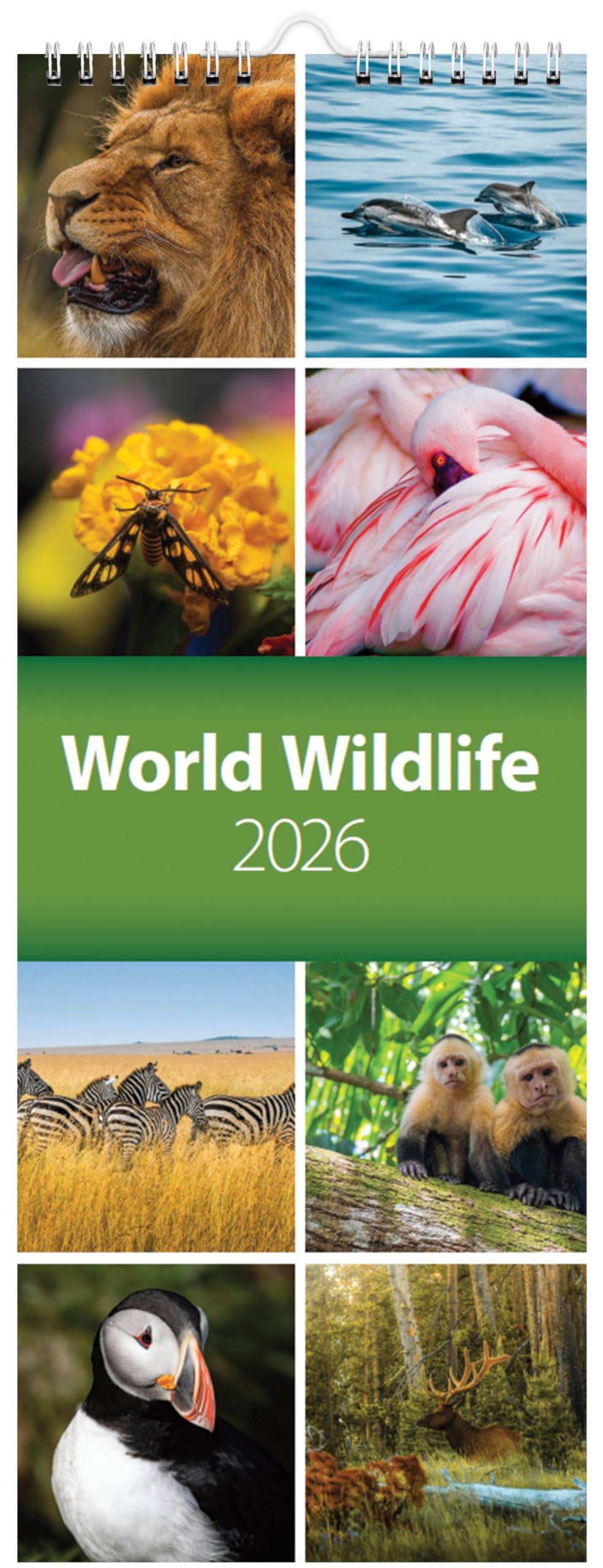 2026 World Wildlife Slim Wall Calendar - CL04