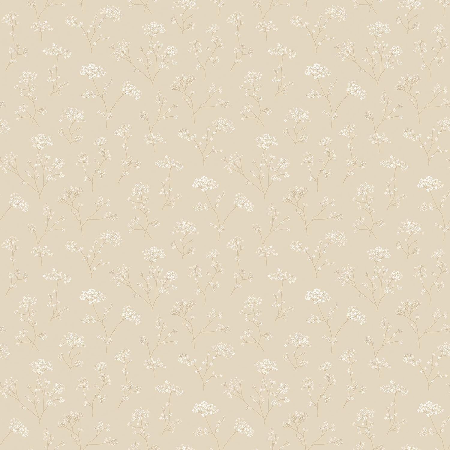 Galerie G67869 Miniatures 2 Cow Parsley Flower Design Wallpaper, White/Cream, 10m x 53cm