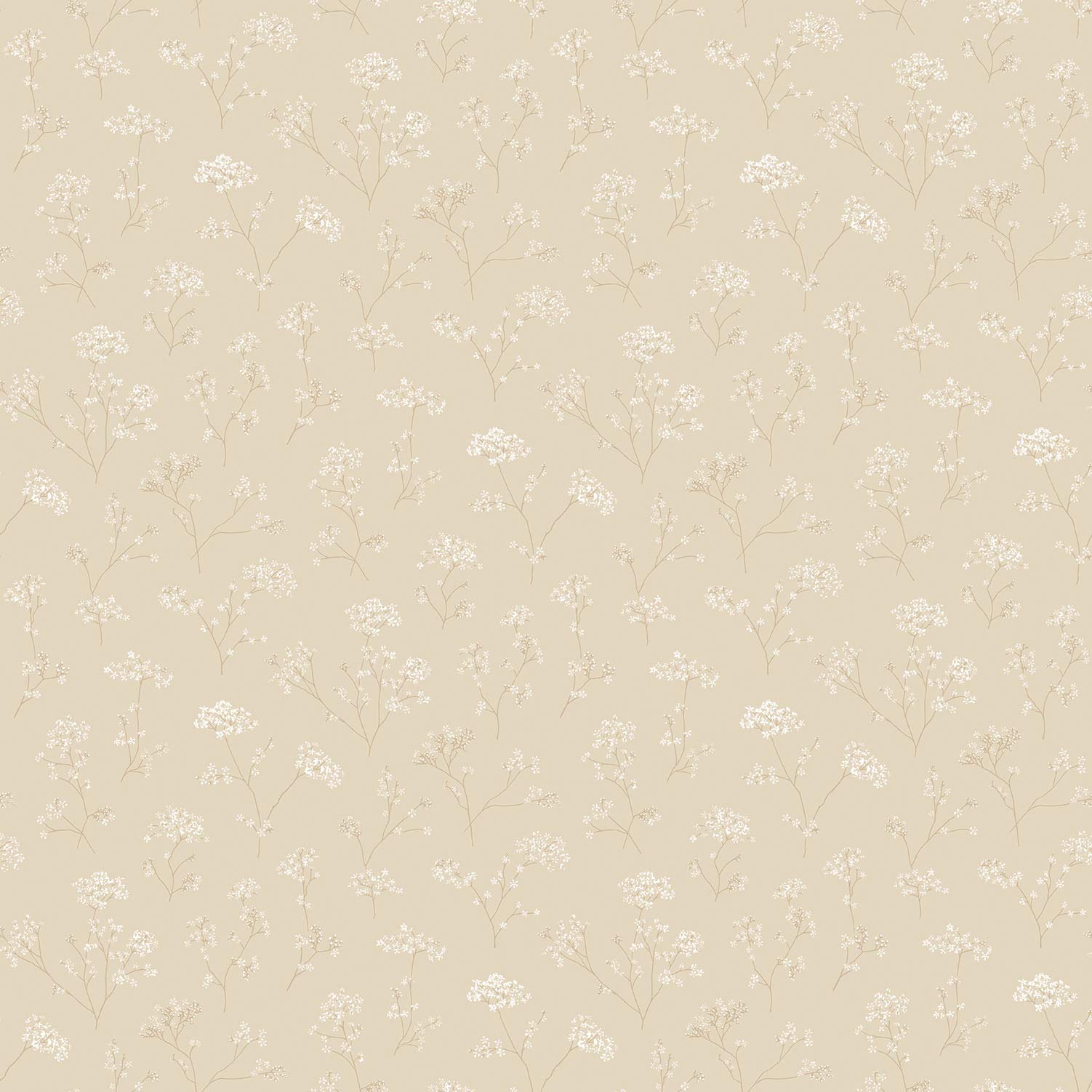 Galerie G67869 Miniatures 2 Cow Parsley Flower Design Wallpaper, White/Cream, 10m x 53cm